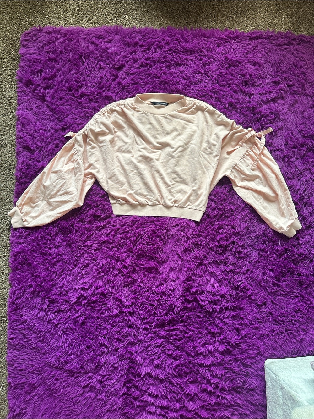 Zara Light Pink Cropped Sweatshirt with Balloon Tie Sleeves